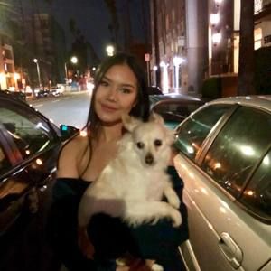 Meet your Posher, Imm